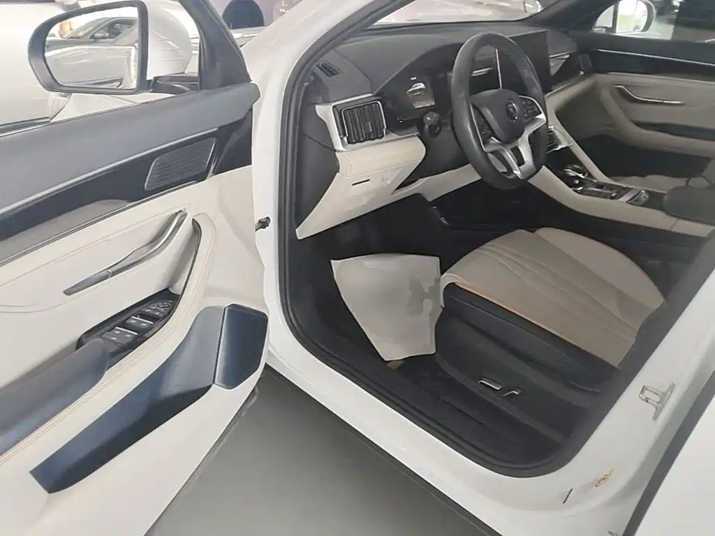BYD PLUS New Energy — миниатюра 16