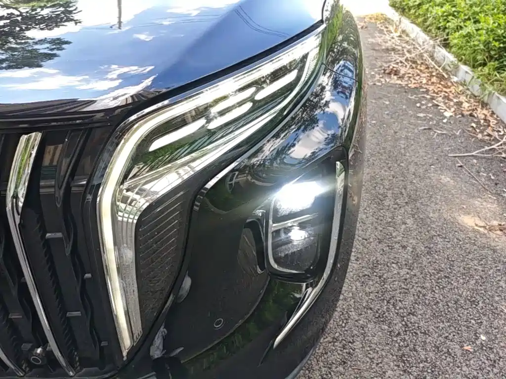Hongqi Hongqi HS7 PHEV — миниатюра 24