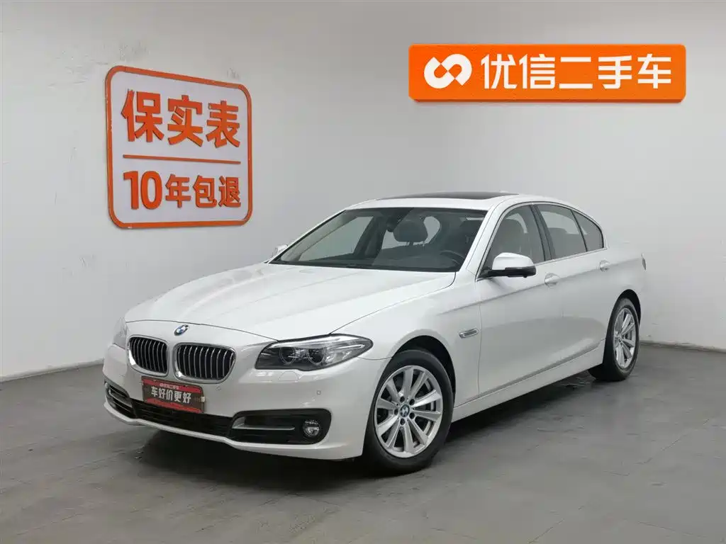 BMW 5 Series (Import) 2013