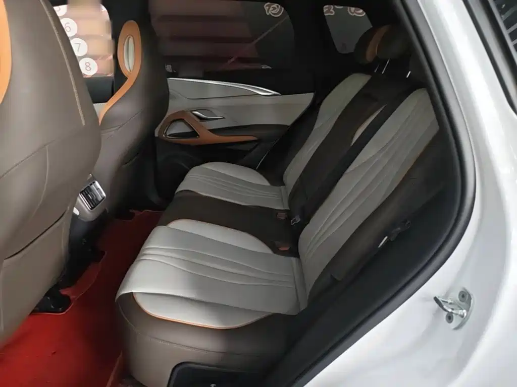 BYD Pro New Energy — миниатюра 17