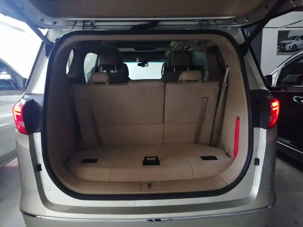 Buick GL8 — миниатюра 19