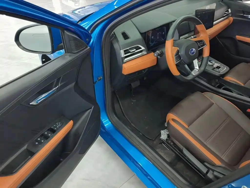 BYD e2 — миниатюра 16