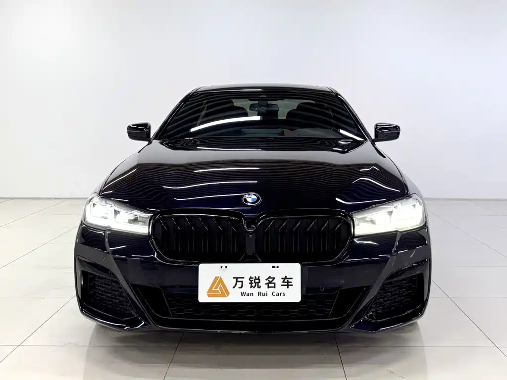 BMW 5 Series — миниатюра 2
