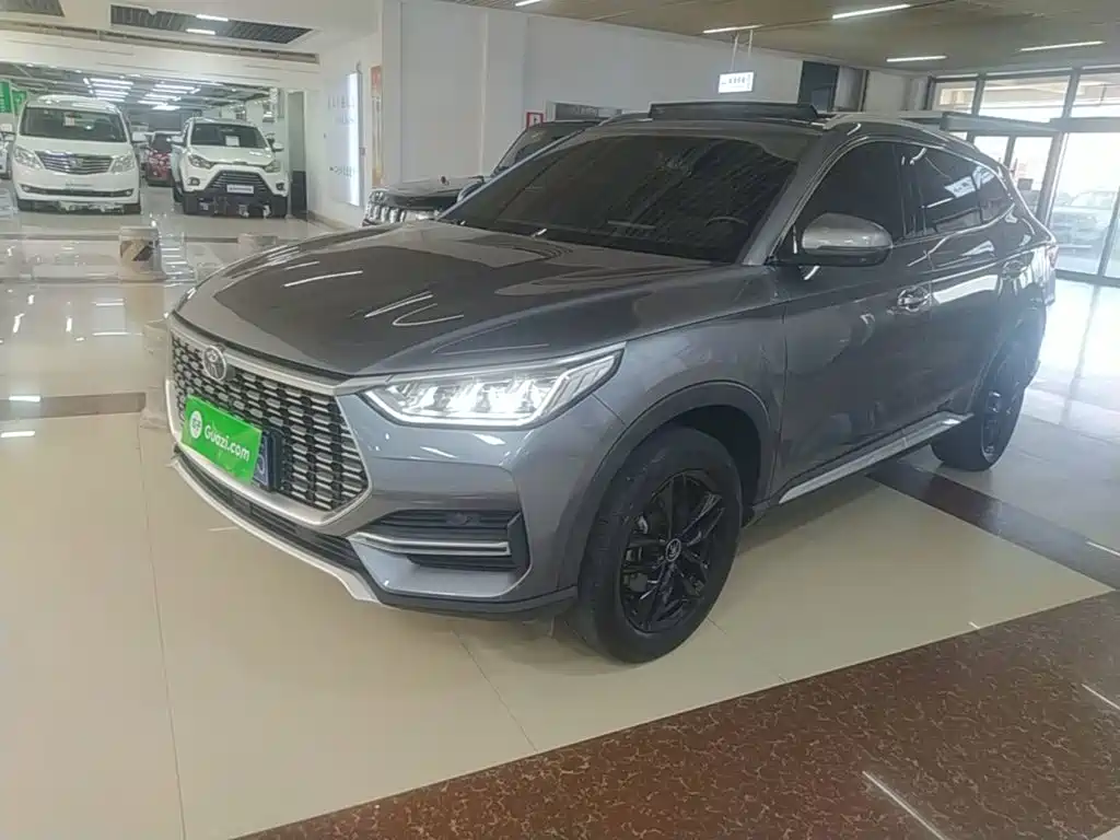 BYD PLUS — миниатюра 2
