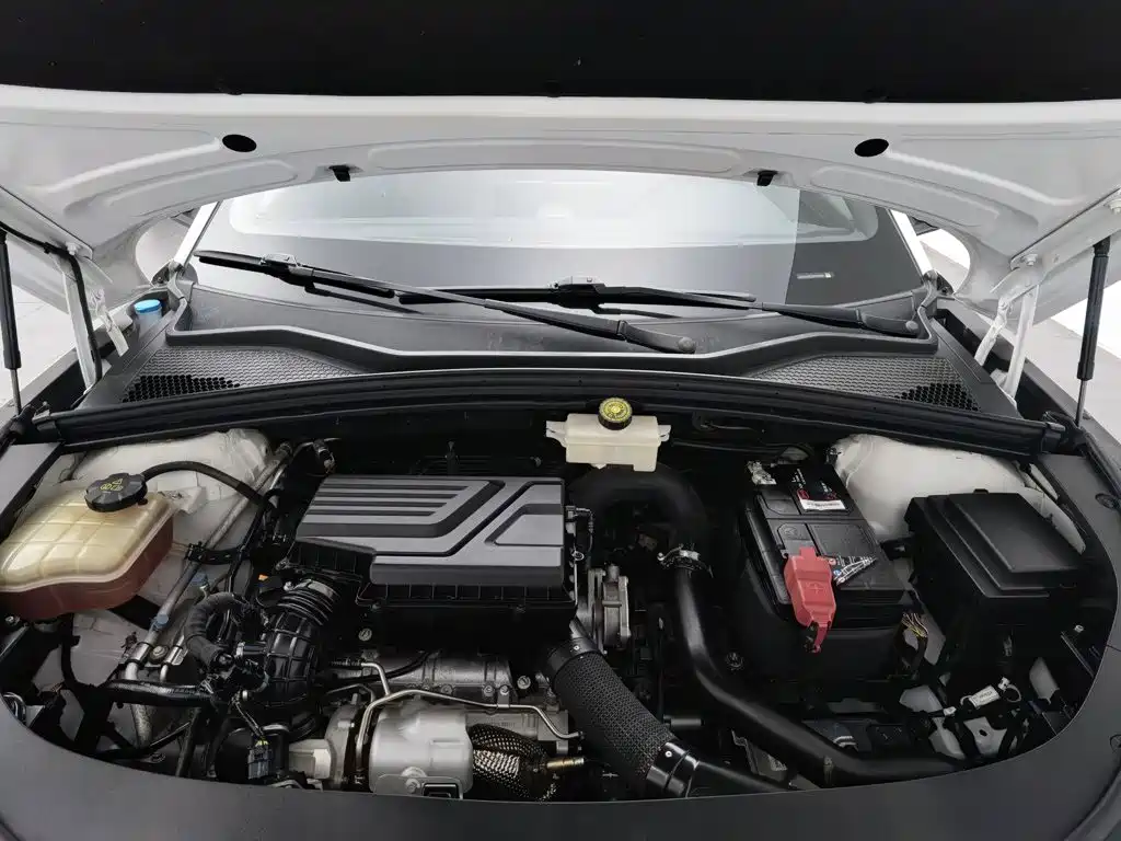 BYD PLUS — миниатюра 6