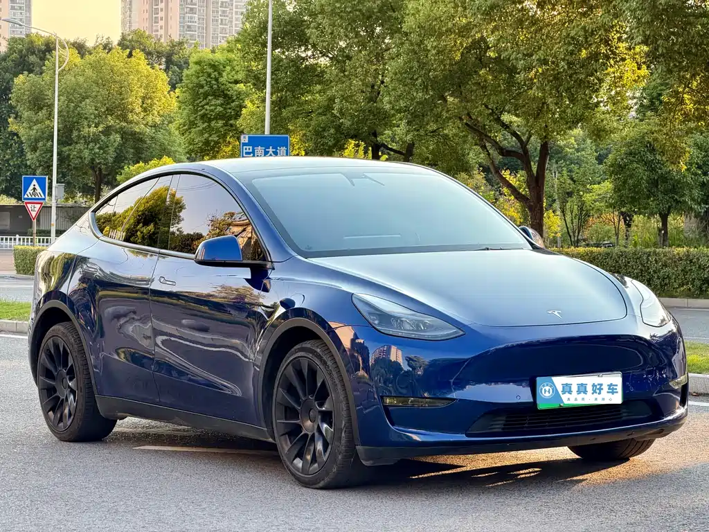 Tesla Model Y — миниатюра 3