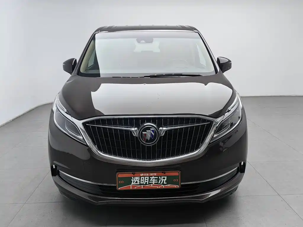 Buick GL8 — миниатюра 3