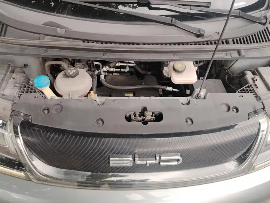 BYD Dolphin 2021 405km Fashion