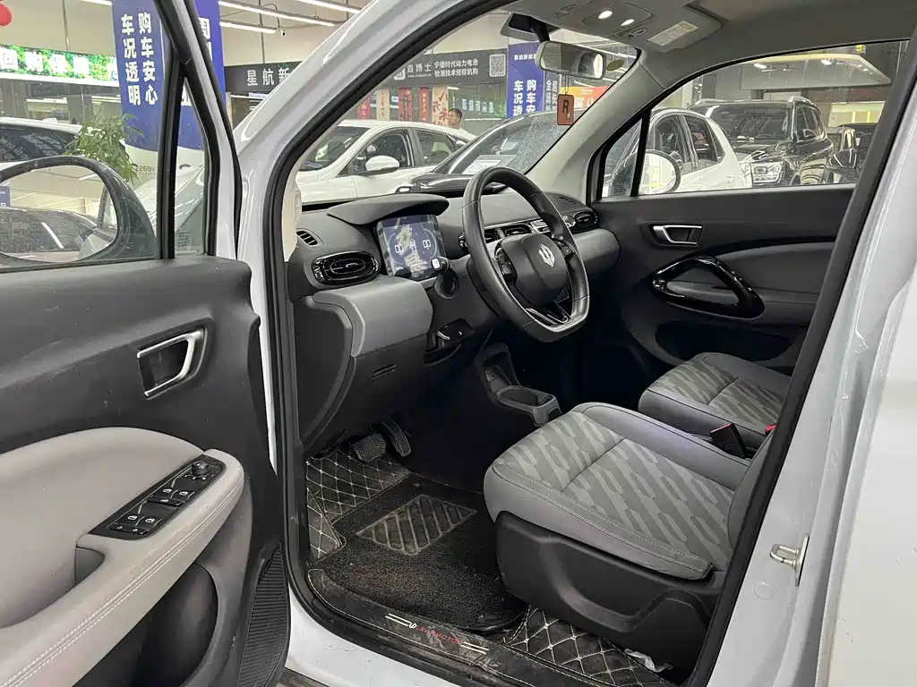 Leapmotor T03 2024 310