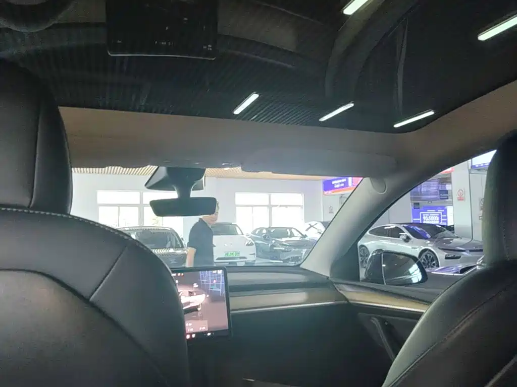 Tesla Model Y — миниатюра 18
