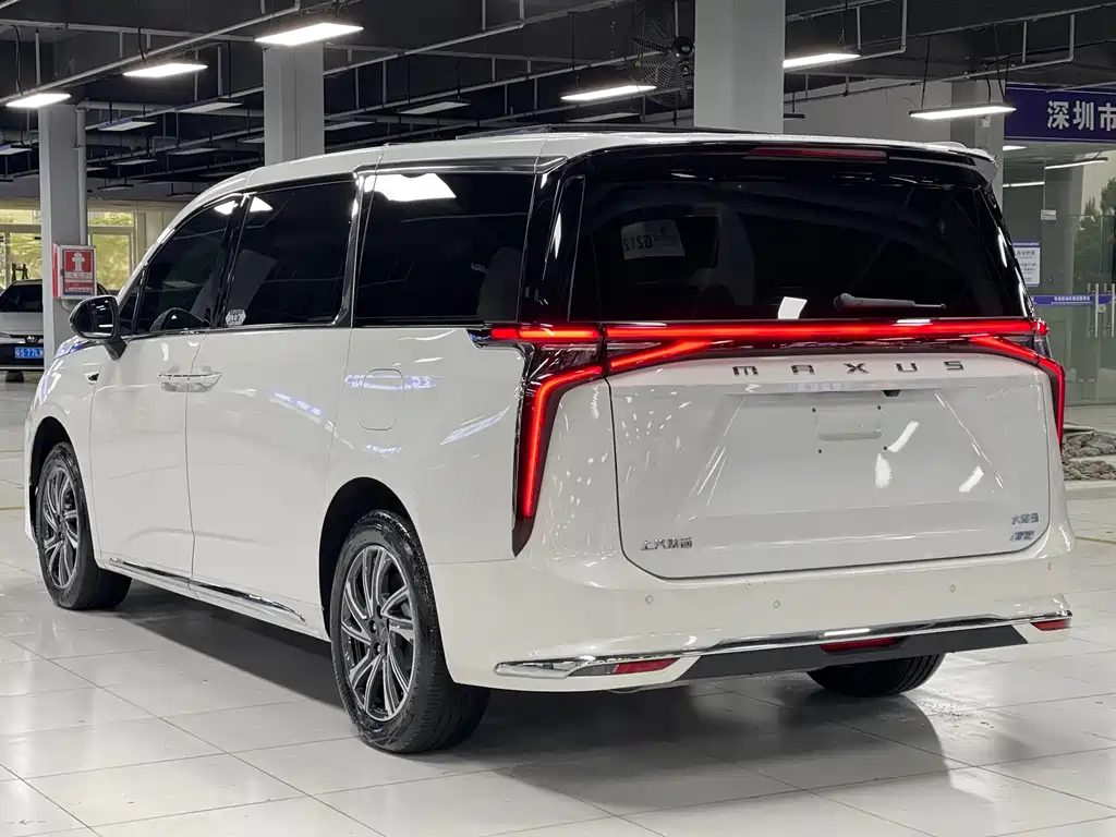Maxus Dajia 9 — миниатюра 13