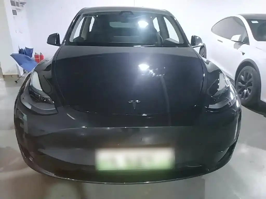 Tesla Model Y — миниатюра 3