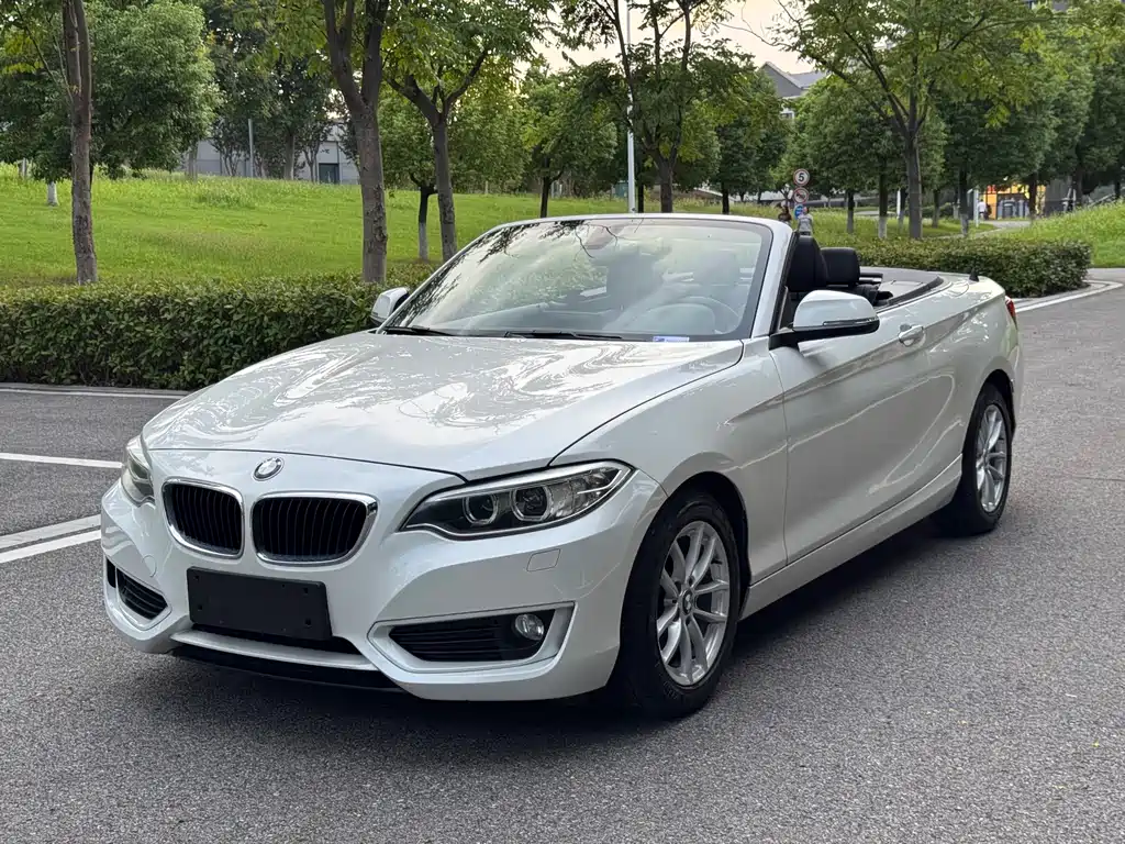 BMW 2 Series (Import) — миниатюра 3