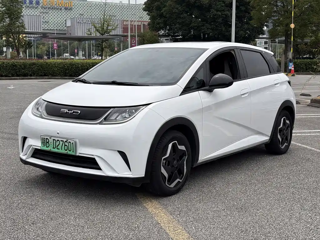 2021 BYD Dolphin - zdjęcie 1 z 13