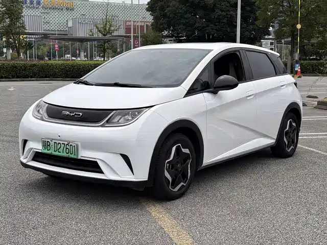 2021 BYD Dolphin