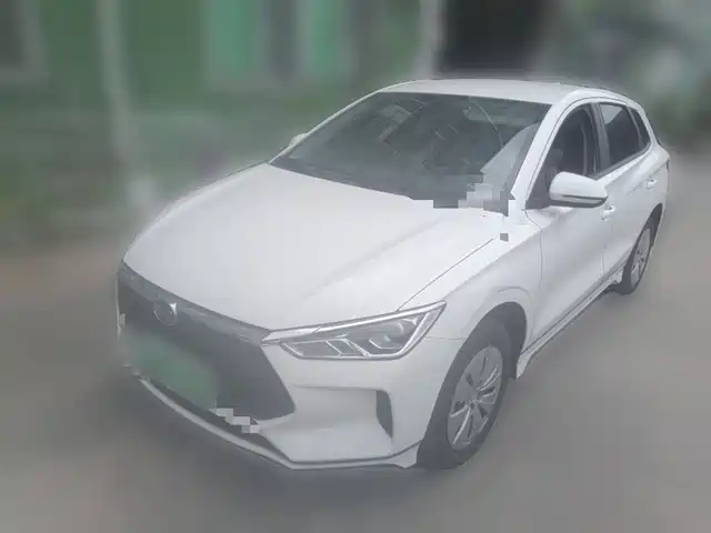 2022 BYD e2