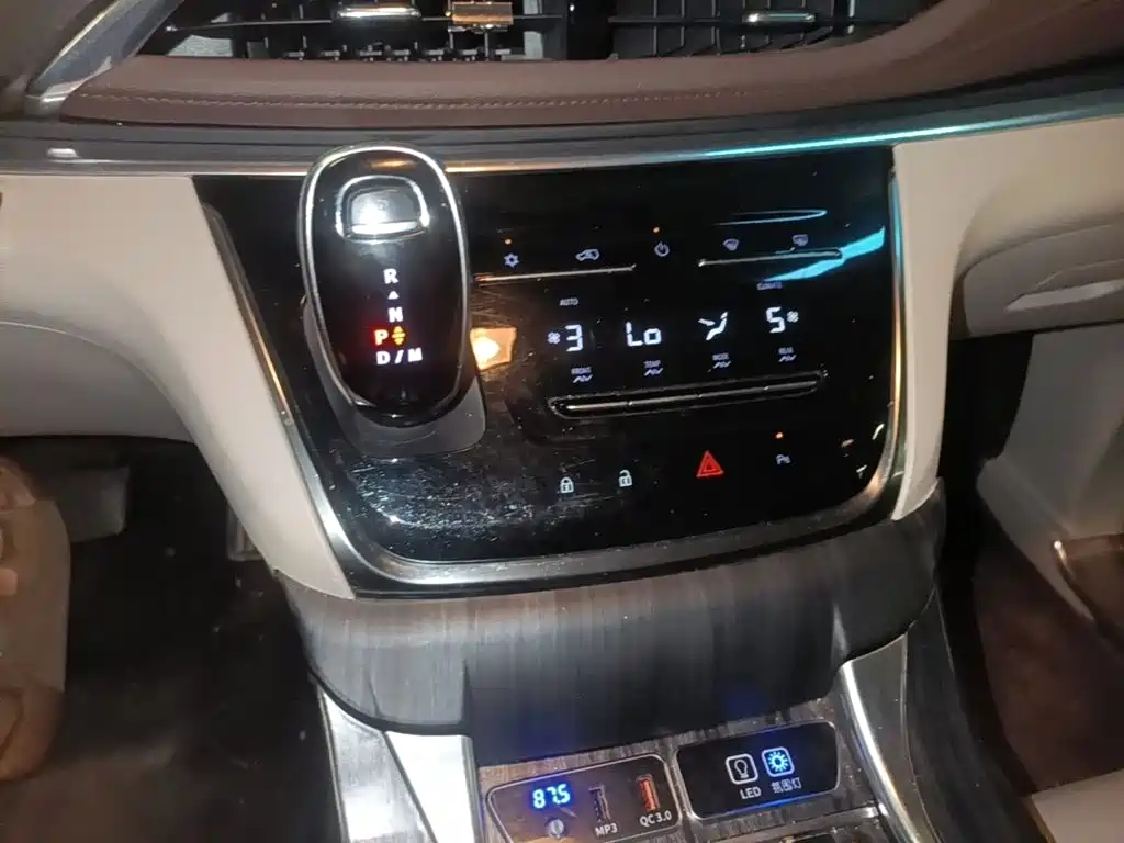 Buick GL8 — миниатюра 21