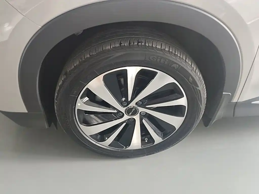 BYD PLUS New Energy — миниатюра 23