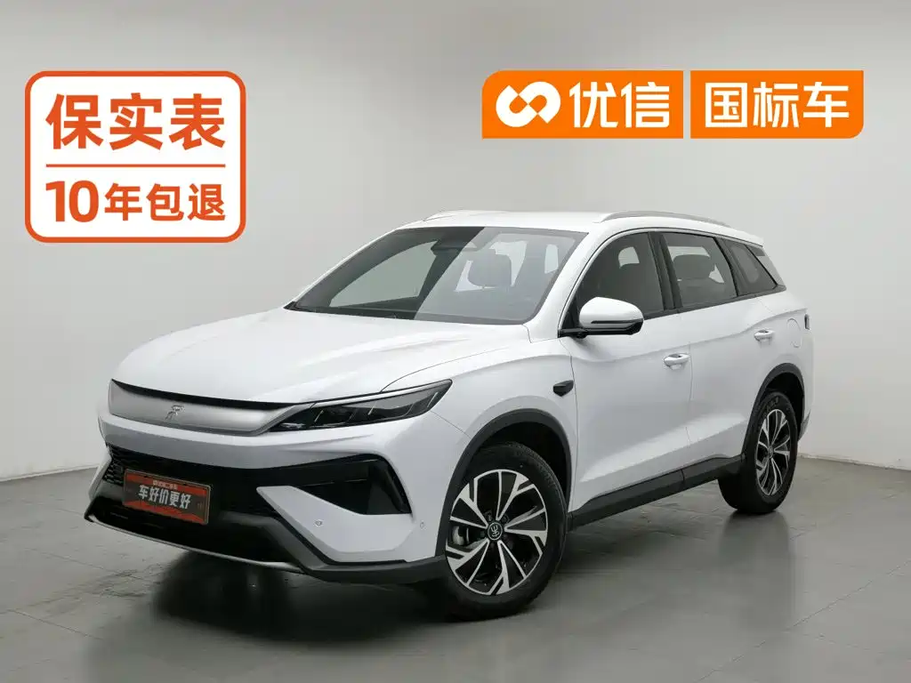 BYD Pro New Energy