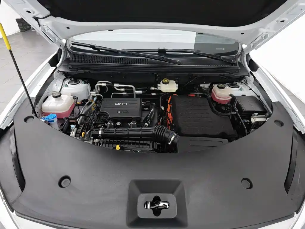 BYD Pro New Energy — миниатюра 6