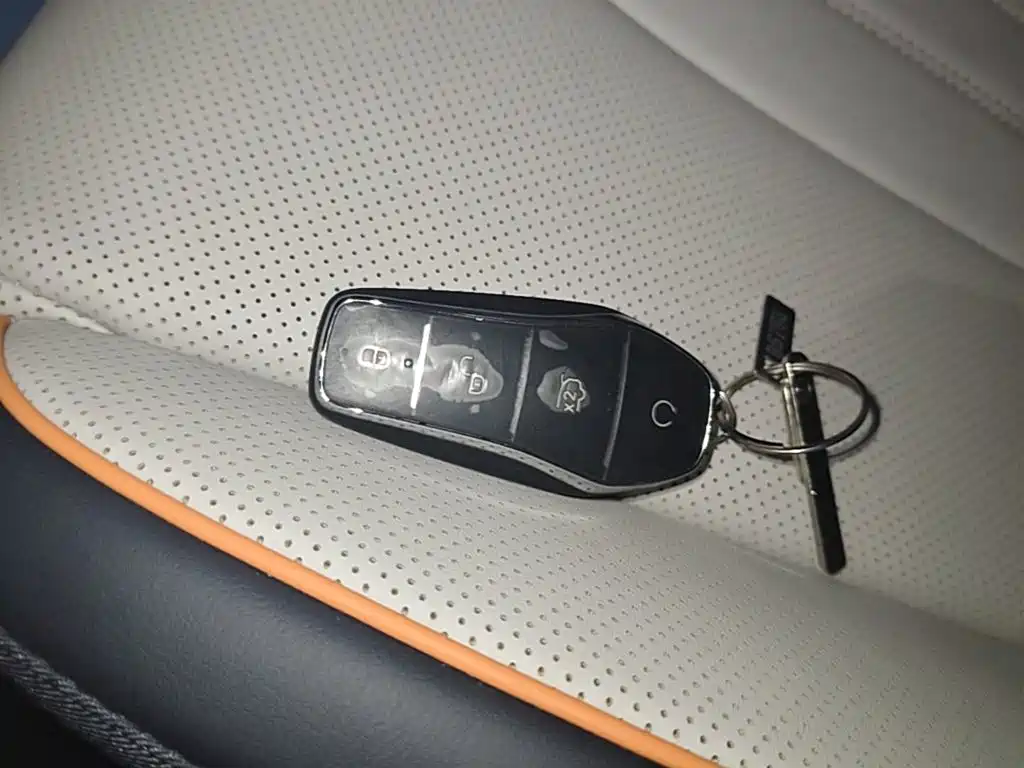 BYD PLUS New Energy — миниатюра 9