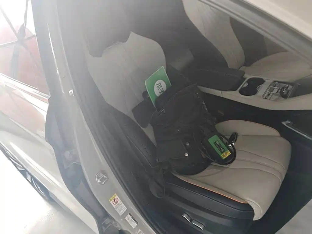 BYD PLUS New Energy — миниатюра 25