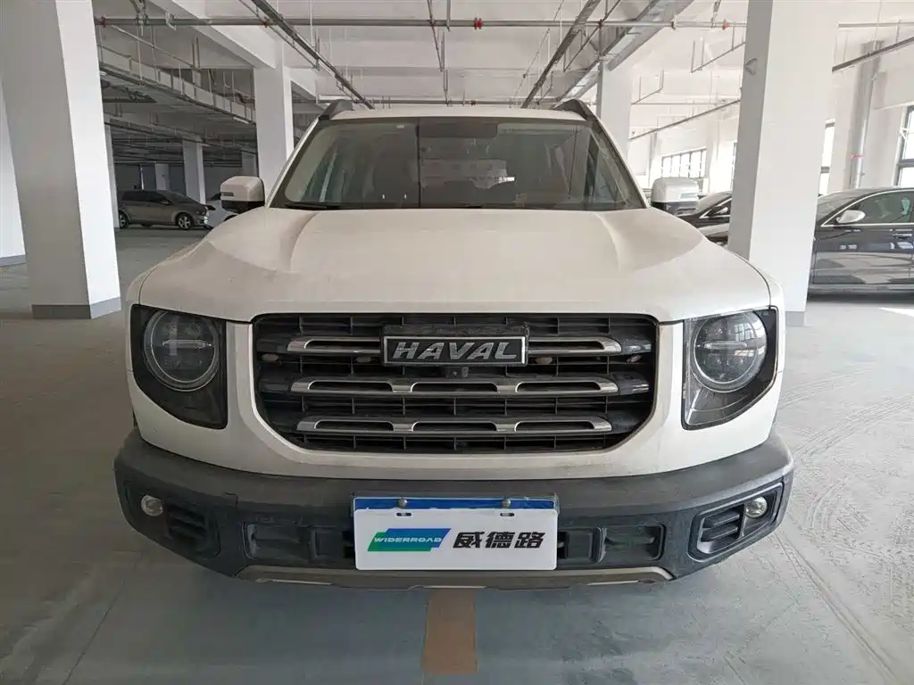 HAVAL BIG DOG