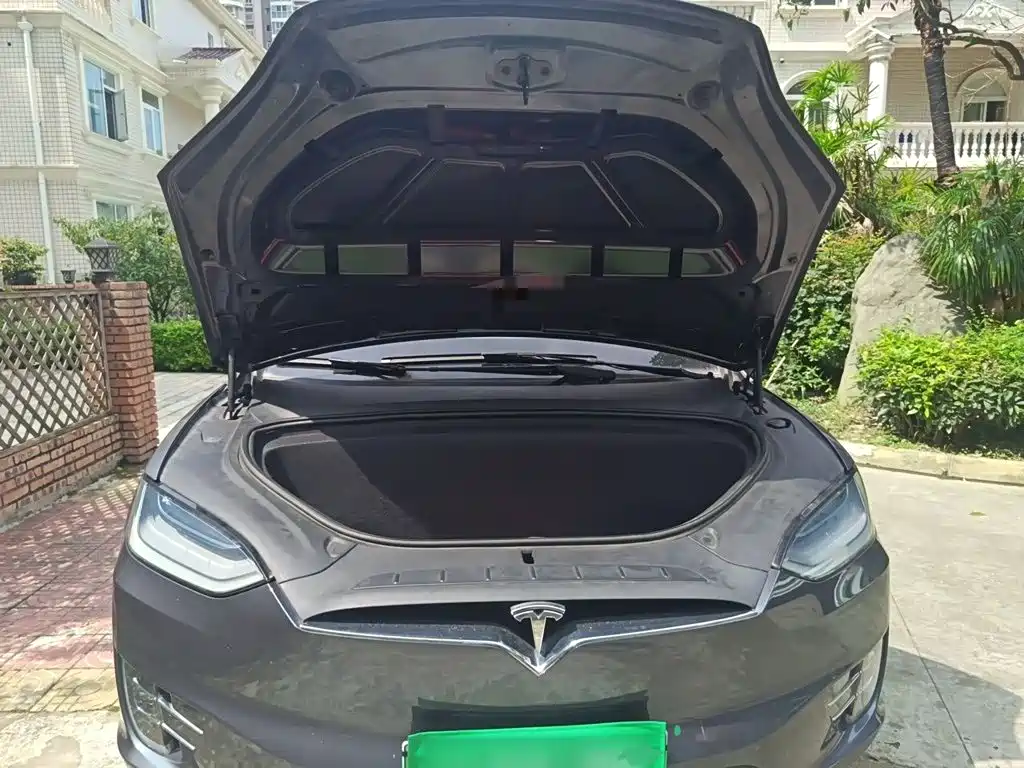 Tesla Model X — миниатюра 11
