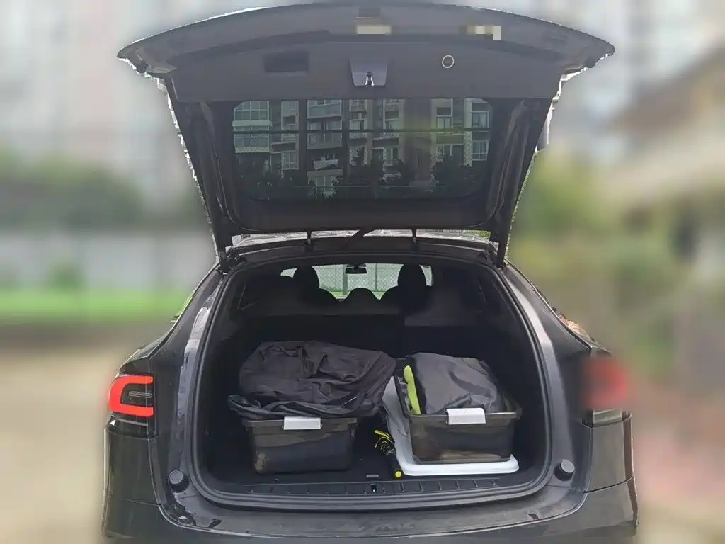 Tesla Model X — миниатюра 10