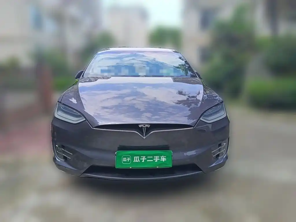 Tesla Model X — миниатюра 23