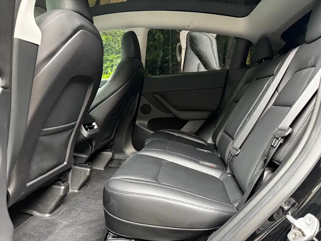 Tesla Model Y — миниатюра 11