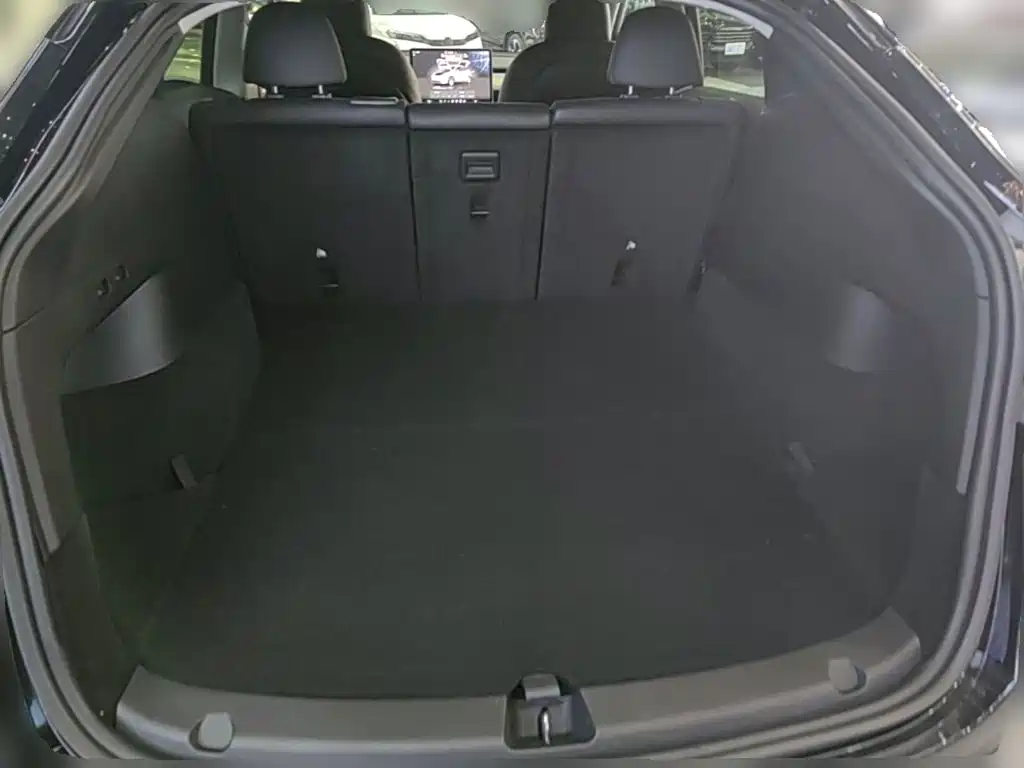 Tesla Model Y — миниатюра 24