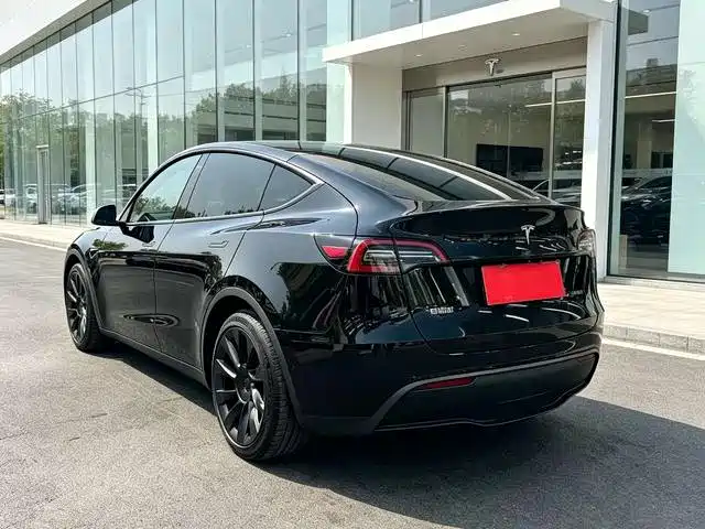 Tesla Model Y — миниатюра 9