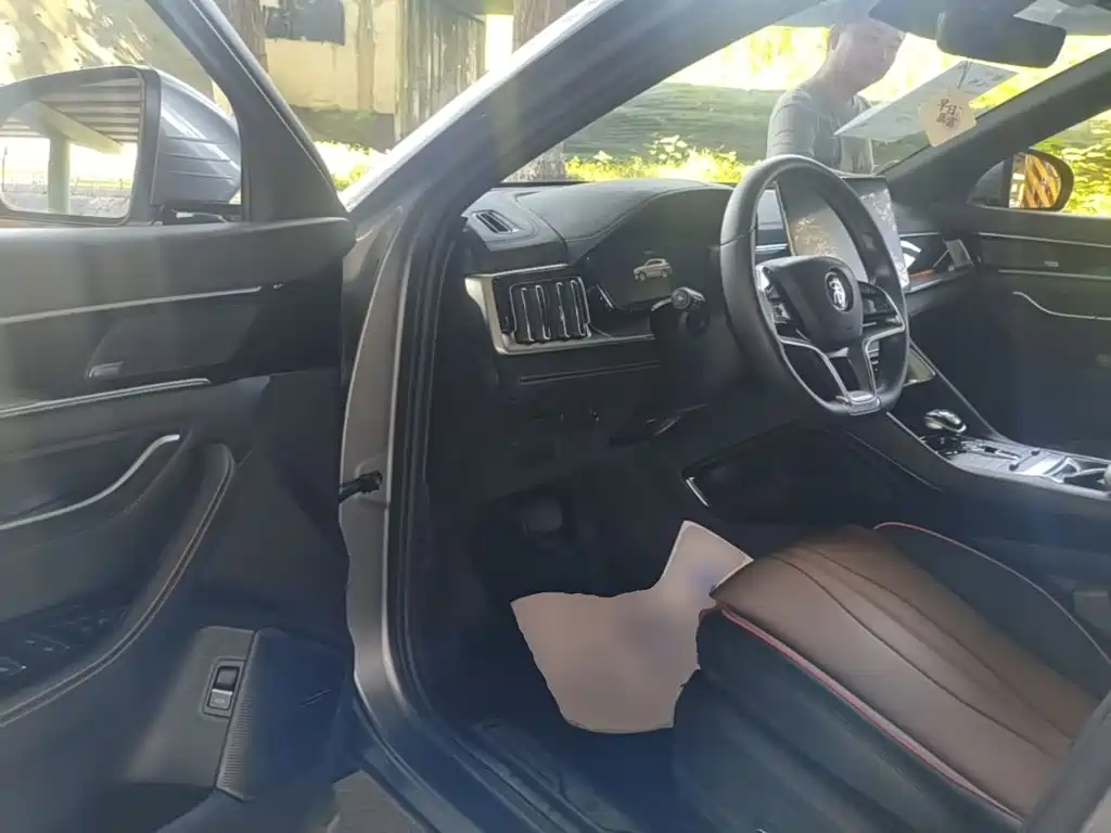 BYD PLUS New Energy — миниатюра 16