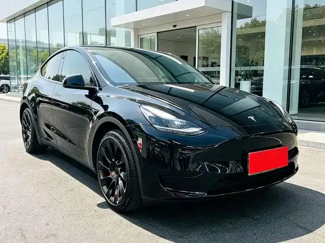 Tesla Model Y — миниатюра 3
