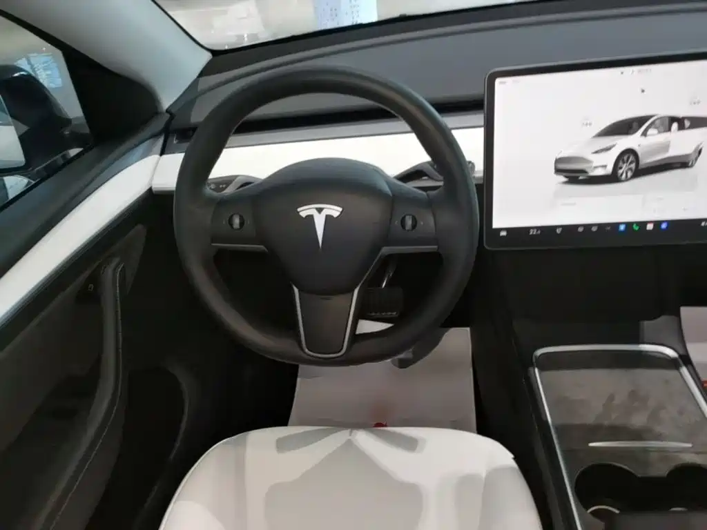 Tesla Model Y — миниатюра 11