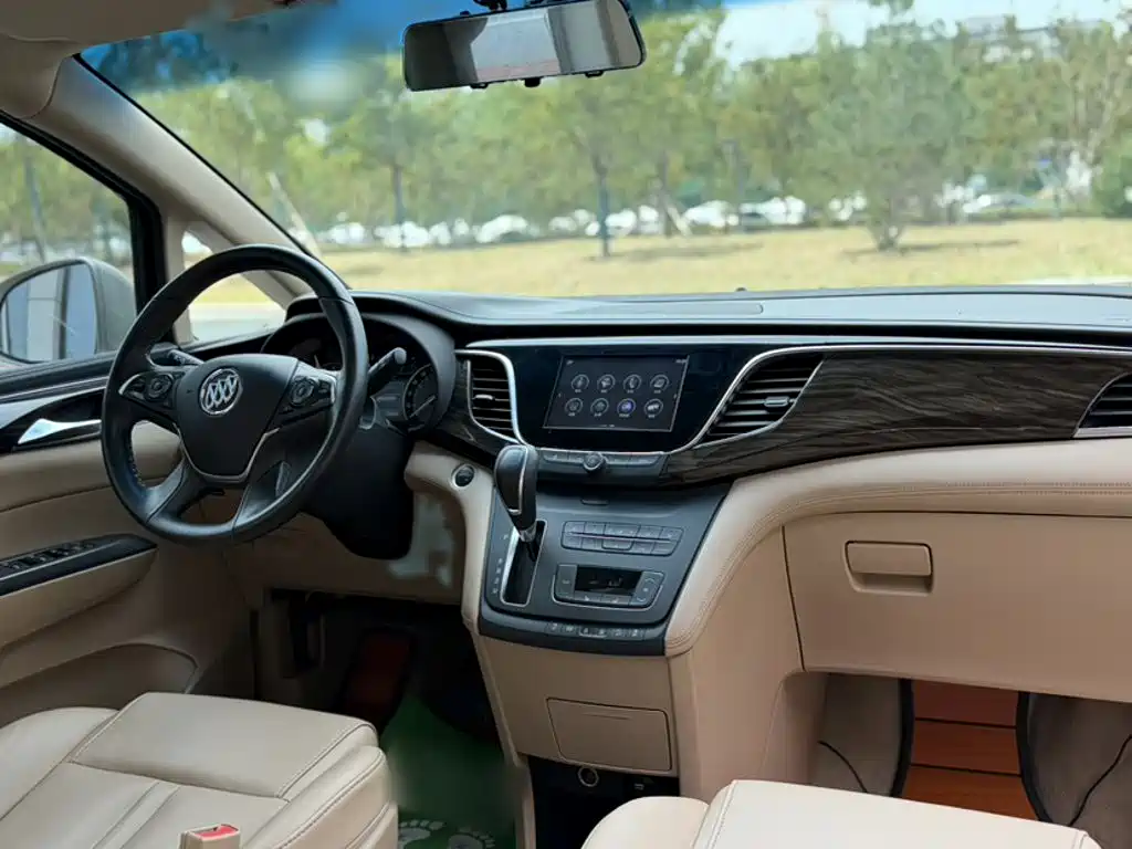 Buick GL8 — миниатюра 17