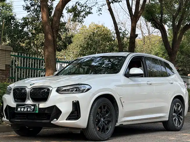 BMW IX3 2024