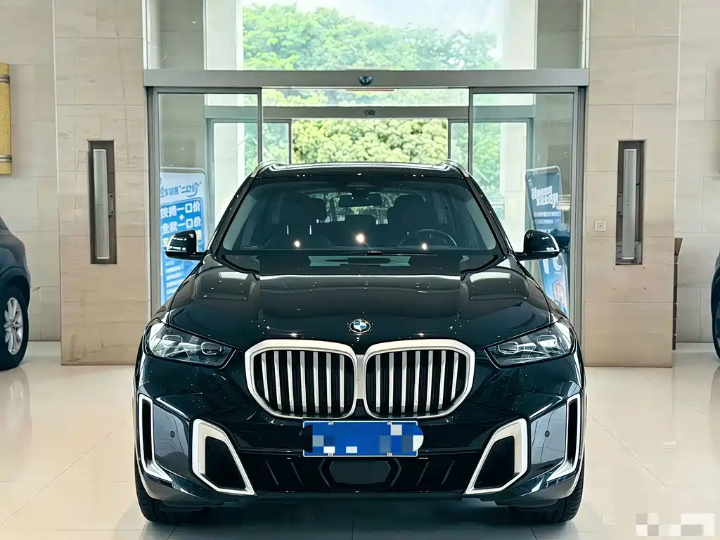 BMW X5 — миниатюра 2