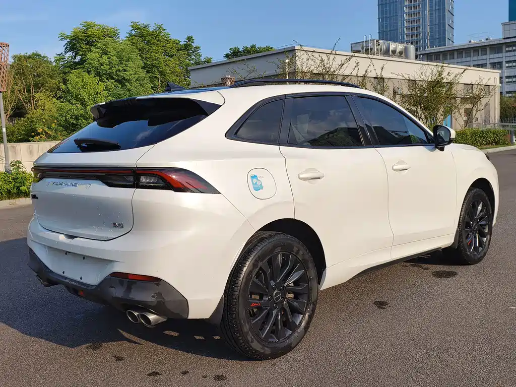 Fengxing Fengxing T5 EVO — миниатюра 12
