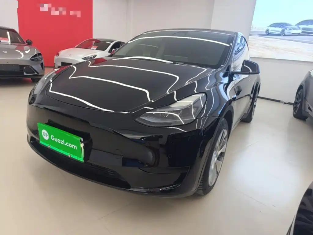 Tesla Model Y — миниатюра 2