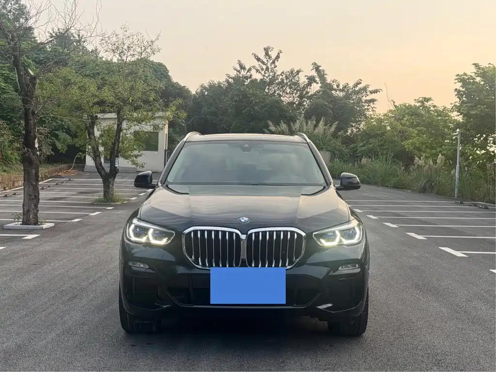 BMW X5 (Import) — миниатюра 2
