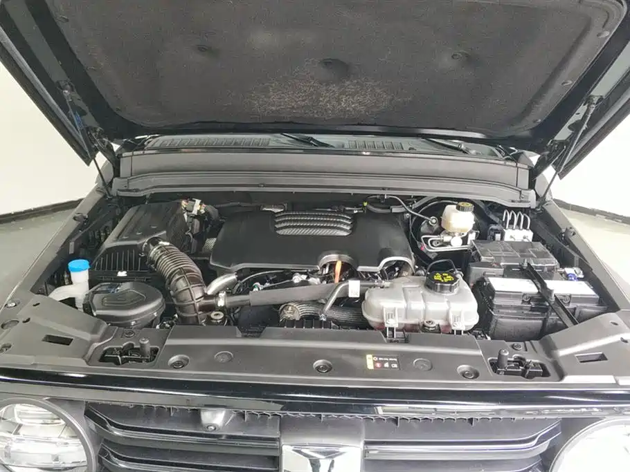 Tank 300 2024 2.0T