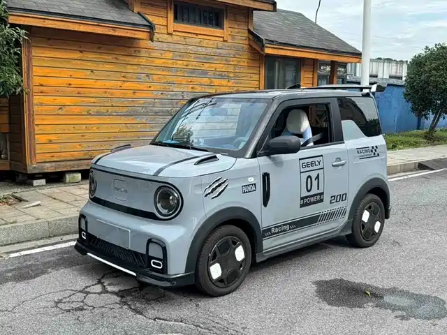 2025 Geely LC (Panda)