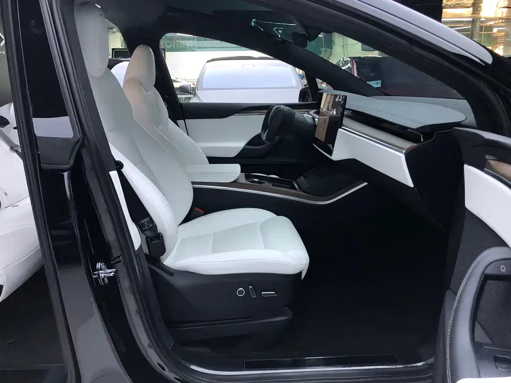Tesla Model X — миниатюра 12