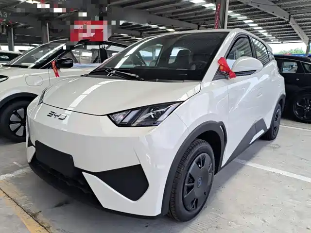 2026 BYD Seagull