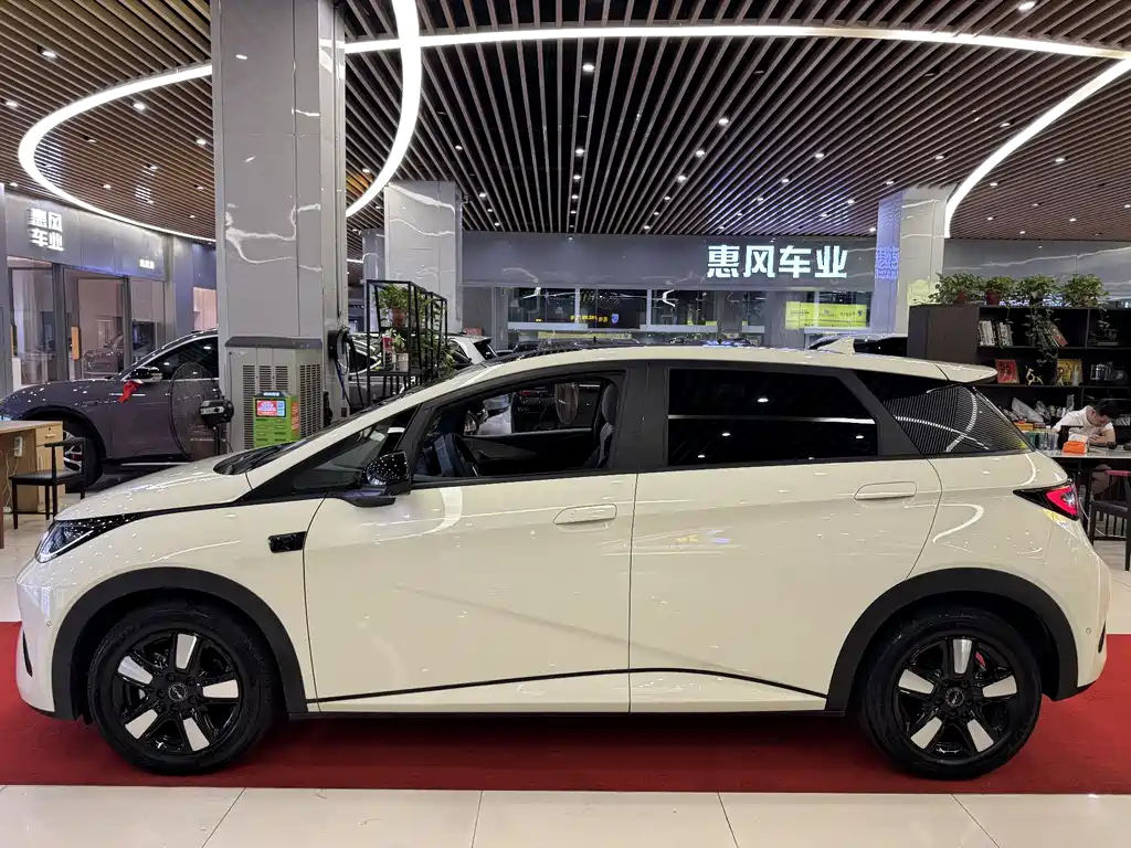 BYD Dolphin 2025 Smart Drive 410km Fashion