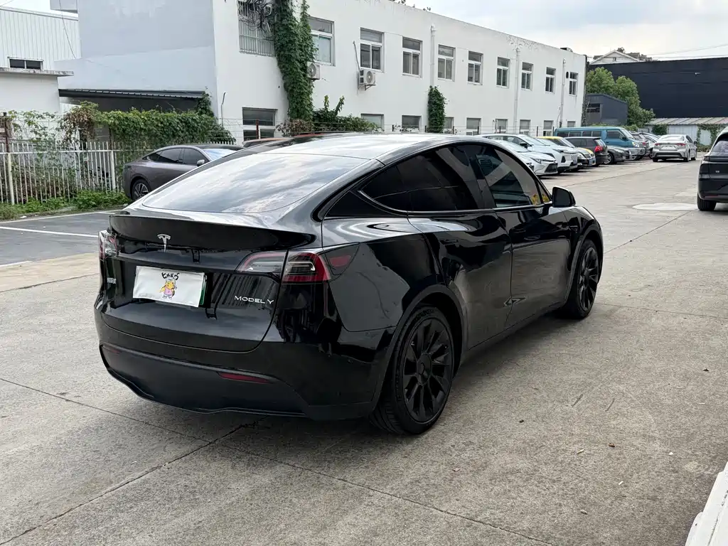 Tesla Model Y — миниатюра 15
