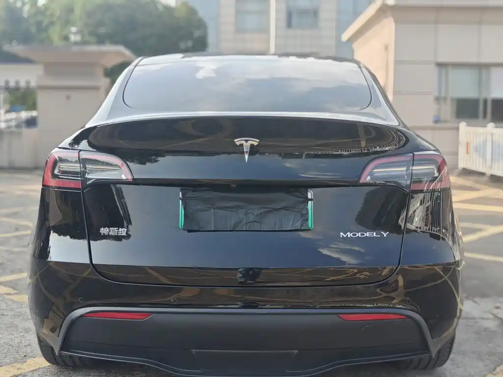 Tesla Model Y — миниатюра 10