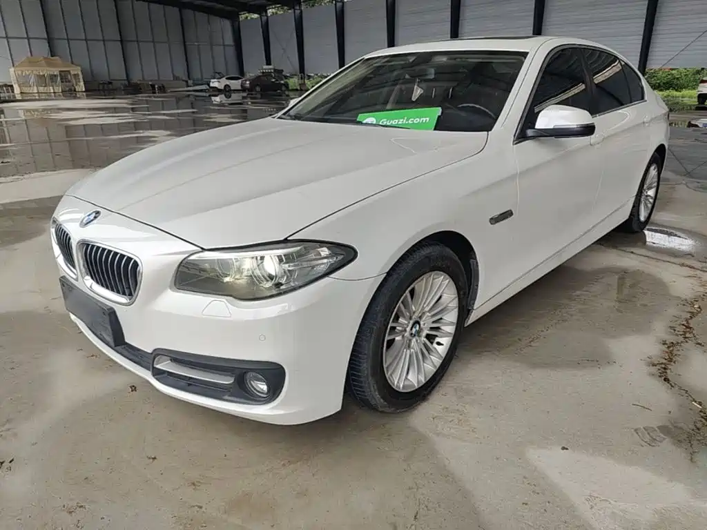 BMW 5 Series 5 2014 525Li Lead